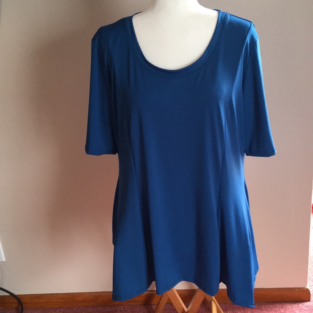 Dressy Blue Blouse.